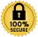 Indiconnect secure payment certified